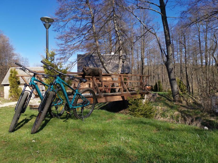 Vodenica Vrelo Chalets Vrelo Koreničko 외부 사진