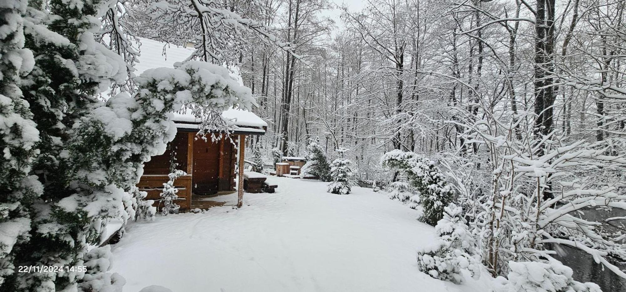 Vodenica Vrelo Chalets Vrelo Koreničko 외부 사진