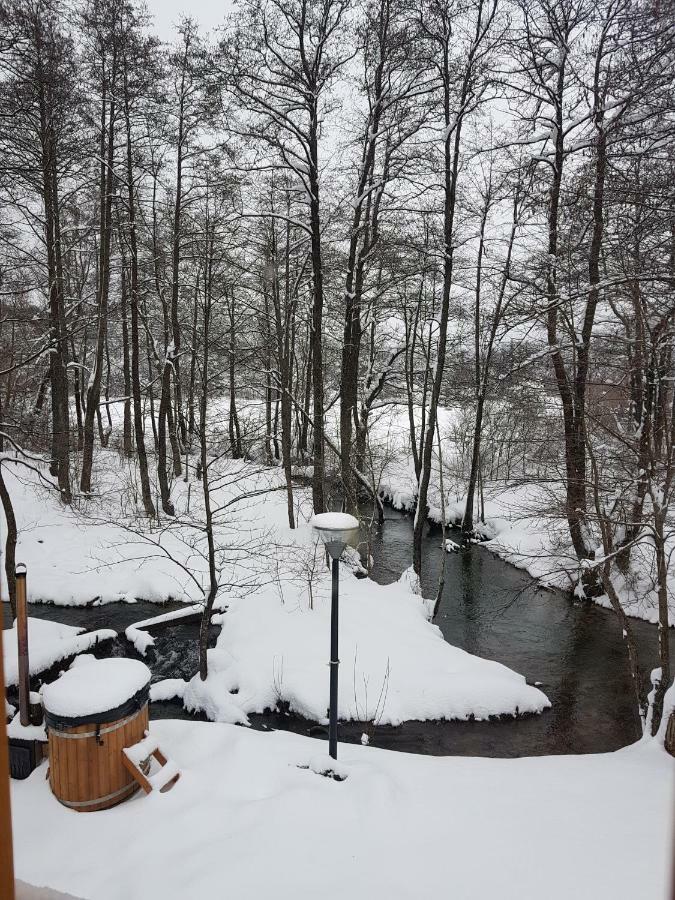 Vodenica Vrelo Chalets Vrelo Koreničko 외부 사진
